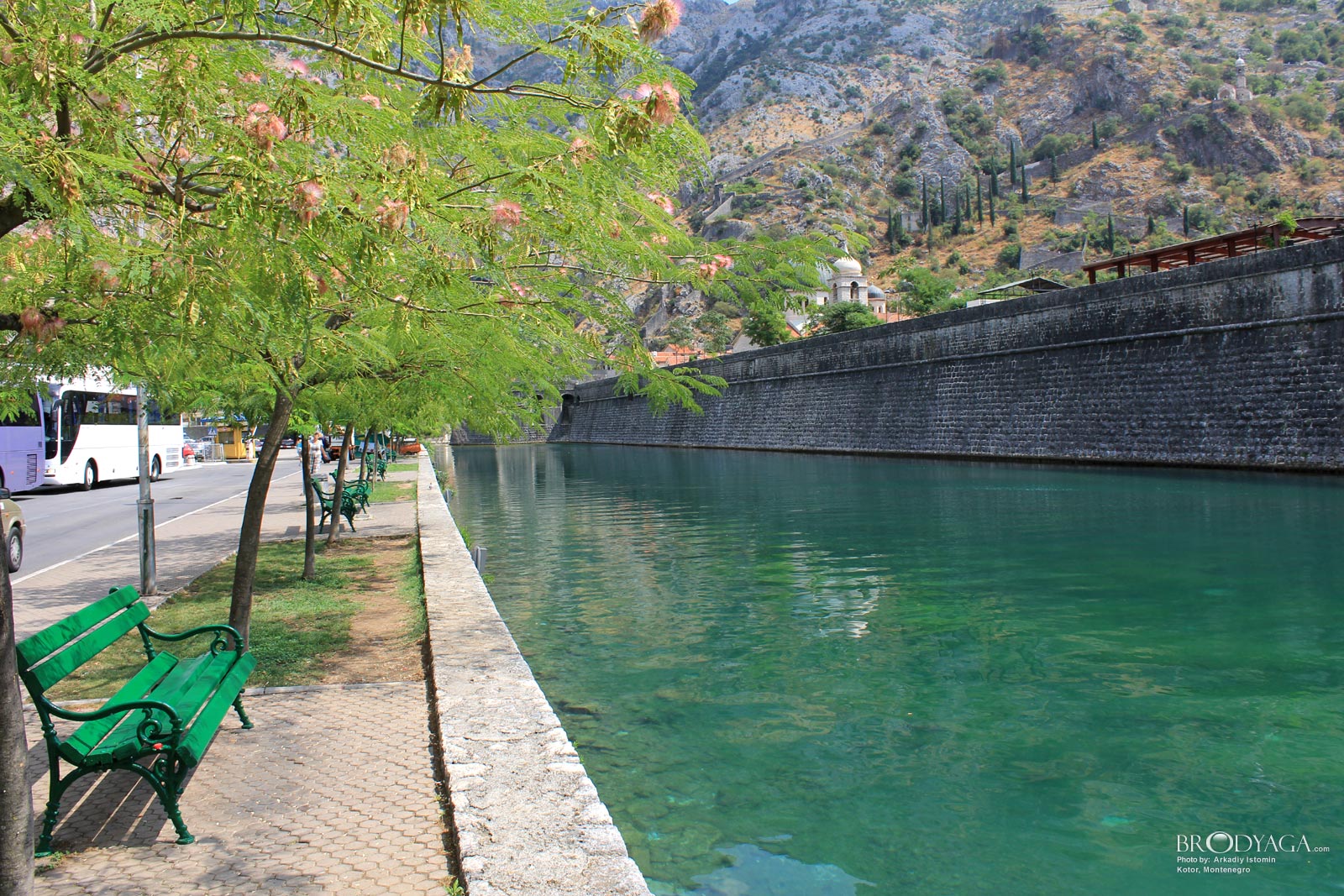 Kotor